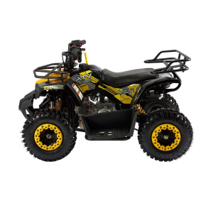 Детский квадроцикл ATV Classic mini 4T