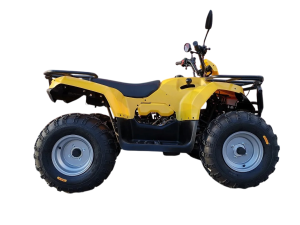 Квадроцикл ATV IRBIS 200 ПСМ