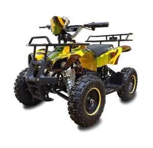 Квадроцикл GreenCamel Gobi K21 36V 800W