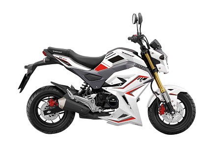 Мотоцикл PROMAX STRYKER 200(49) OFF-ROAD 2.0