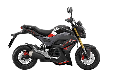Мотоцикл PROMAX STRYKER 200 OFF-ROAD 2.0