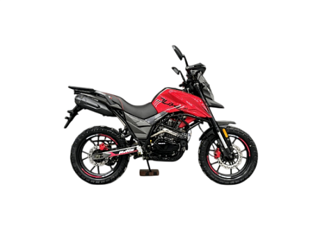 Мотоцикл Regulmoto DUKE PRO